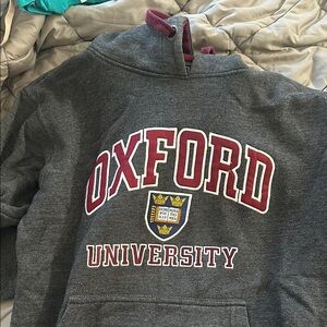 Gray Oxford University Hoodie with Bold Text and Crest
